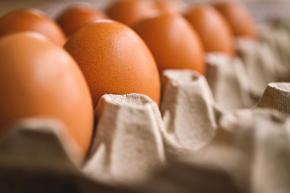 holding egg 